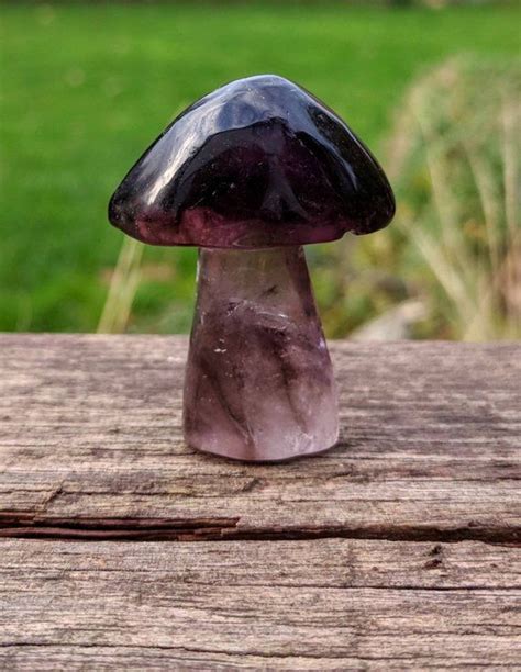 The Ancient Wisdom of Magical Toadstools in the Crystal Garden